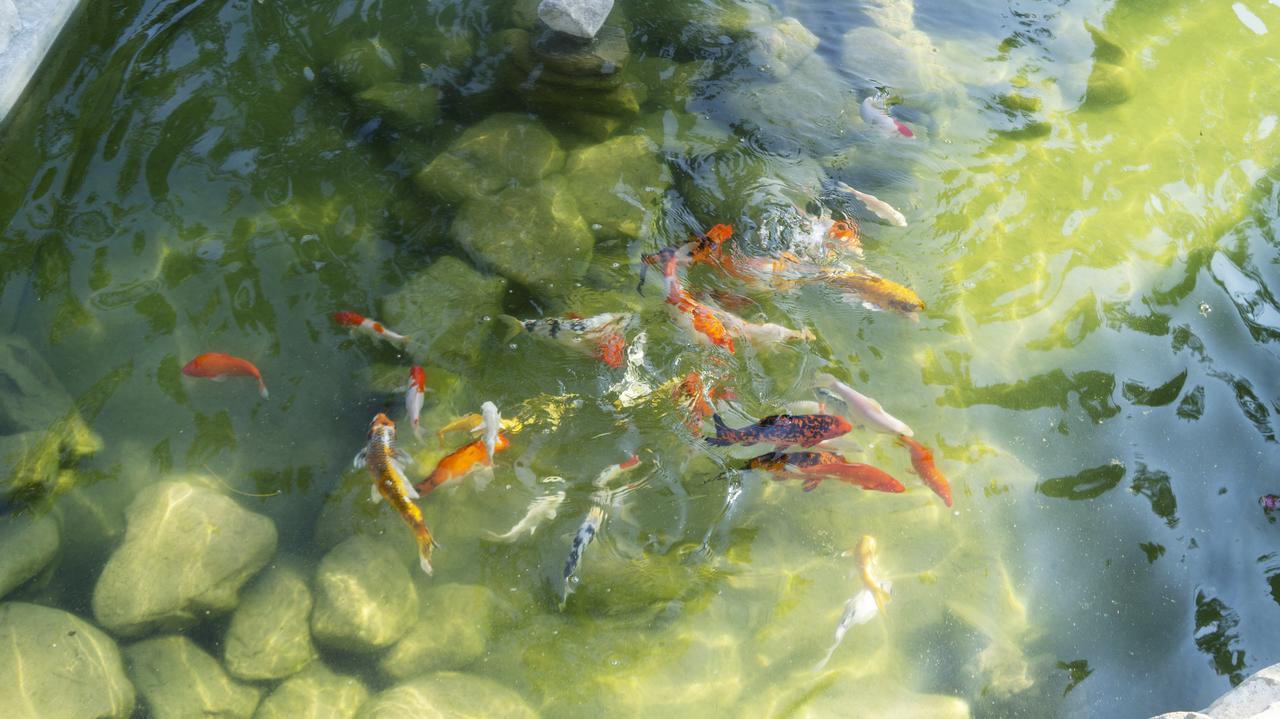 Pisces Garden B&B Checheng Exterior photo